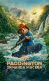 Ayı Paddington: Ormanda Macera izle