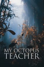 Ahtapottan Öğrendiklerim (My Octopus Teacher – 2020) izle