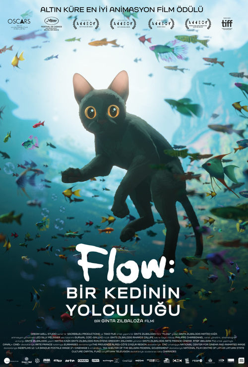 Flow: Bir Kedinin Yolculuğu izle