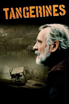 Mandalina Bahçesi (Tangerines – 2013) izle
