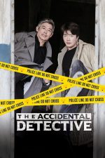 Zoraki Dedektif (The Accidental Detective – 2015) izle