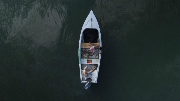 Zehirli Köpekbalığı