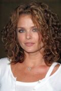 Dina Meyer Filmleri