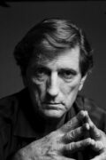 Harry Dean Stanton Filmleri