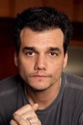 Wagner Moura Filmleri