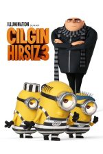 Çılgın Hırsız 3 (2017) izle