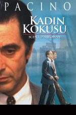 Kadın Kokusu (1992) izle