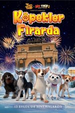 Köpekler Firarda (Dogs at the Opera – 2023) izle