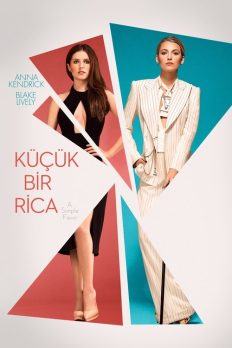 Küçük Bir Rica (A Simple Favor – 2018) izle