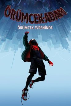 Örümcek Adam: Örümcek Evreninde (2018) izle