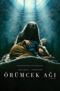 Örümcek Ağı (2023) izle