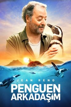 Penguen Arkadaşım (My Penguin Friend – 2024) izle
