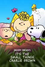 Snoopy Presents: It’s the Small Things, Charlie Brown (2022) izle