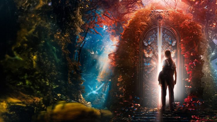 Bay Kleks’in Akademisi