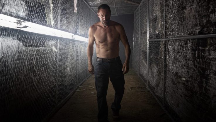 Karanlıkta Gürleyen