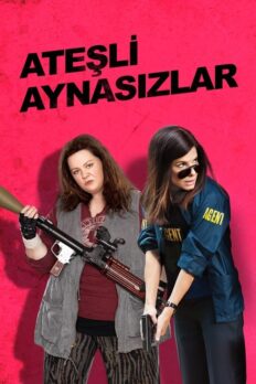 Ateşli Aynasızlar (The Heat – 2013) izle