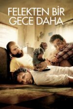 Felekten Bir Gece Daha (The Hangover Part II – 2011) izle