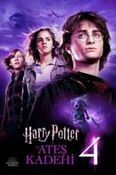 Harry Potter ve Ateş Kadehi (Harry Potter and the Goblet of Fire – 2005) izle
