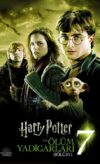 Harry Potter ve Ölüm Yadigârları: Bölüm 1 izle