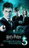 Harry Potter ve Zümrüdüanka Yoldaşlığı izle