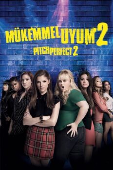 Mükemmel Uyum 2 (Pitch Perfect 2 – 2015) izle
