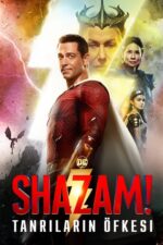 Shazam! Tanrıların Öfkesi (Shazam! Fury of the Gods – 2023) izle