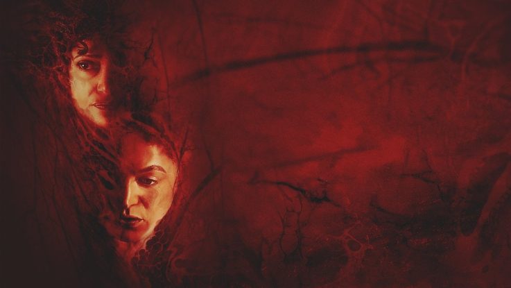 Doğum/Yeniden Doğum