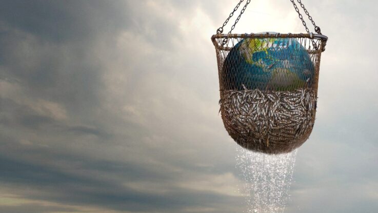 Seaspiracy: Denizlerdeki Komplo