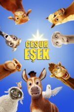Cesur Eşek (The Star – 2017) izle