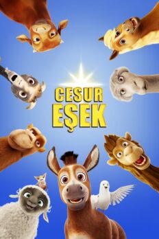 Cesur Eşek (The Star – 2017) izle
