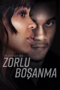 Tyler Perry’den Zorlu Boşanma (Tyler Perry’s Divorce in the Black – 2024) izle
