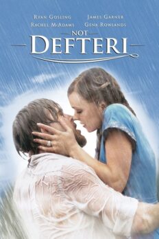 Not Defteri (The Notebook – 2004) izle