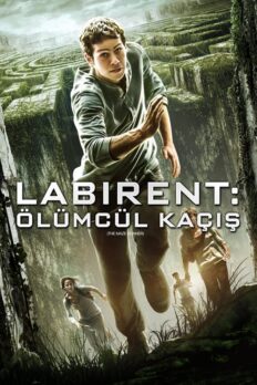 Labirent: Ölümcül Kaçış (The Maze Runner – 2014) izle