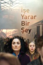 İşe Yarar Bir Şey (2017) izle