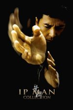 Ip Man Serisi izle